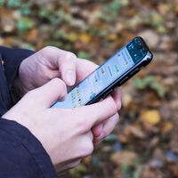 Es un peligro tener contactos antiguos en WhatsApp. Los spammers los aprovechan para hacer su agosto