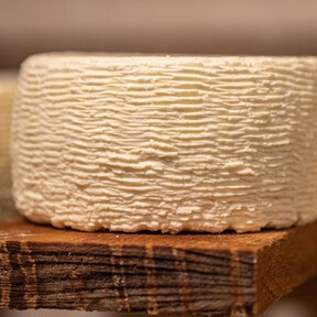 Cómo conservar el queso panela por más de una semana en perfecto estado: no lo guardes como siempre y puede durarte hasta un mes