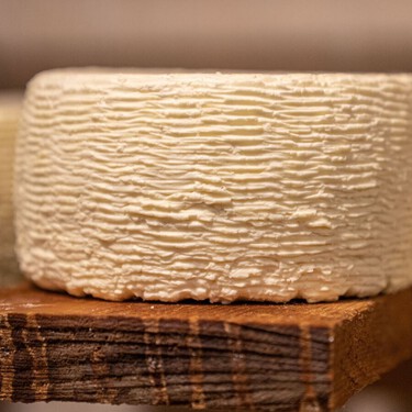 Cómo conservar el queso panela por más de una semana en perfecto estado: no lo guardes como siempre y puede durarte hasta un mes