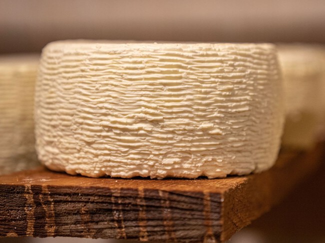 Queso Panela