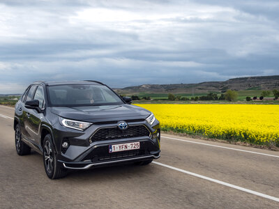 Consejos para conducir seguro en primavera 