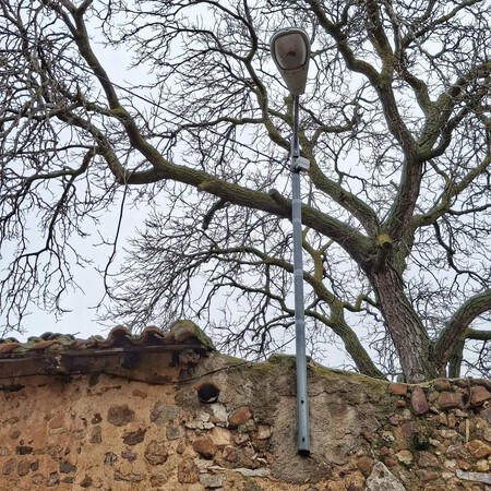 Podar árbol Used