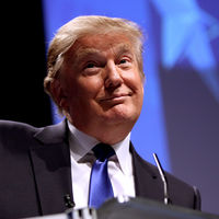 ¿Qué sectores son los más beneficiados por la victoria de Trump?
