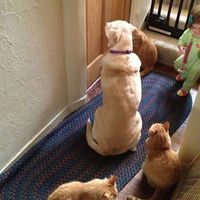 La foto que lo dice todo: pasará mucho tiempo hasta que vuelvas a estar sola