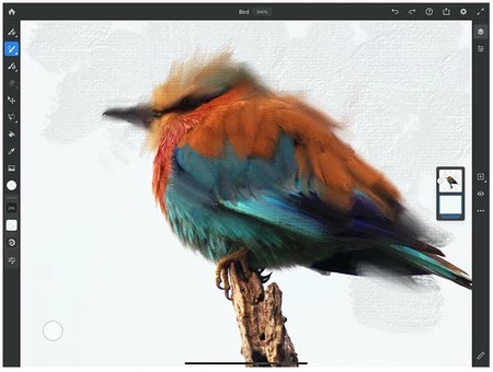 アドビ フレスコ 2