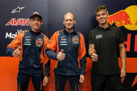 Ambos pilotos
