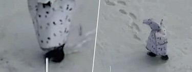 La guerra de Ucrania se ha vuelto algo absurdo nivel: hay drones disparando a soldados rusos disfrazados de "pingüinos"