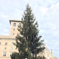 Los ciudadanos de Roma dicen que su árbol de Navidad es el más feo del mundo 
