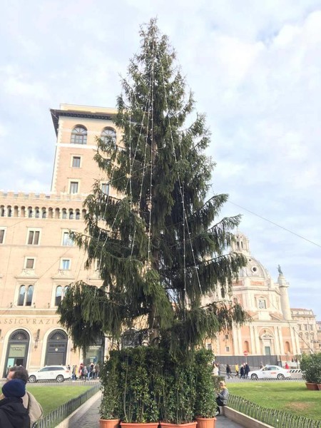 Los ciudadanos de Roma dicen que su árbol de Navidad es el más feo del mundo 