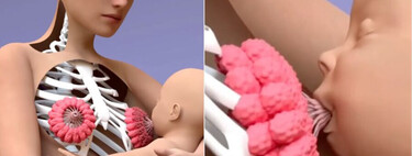El increíble vídeo viral que nos muestra a detalle cómo se produce la leche materna 