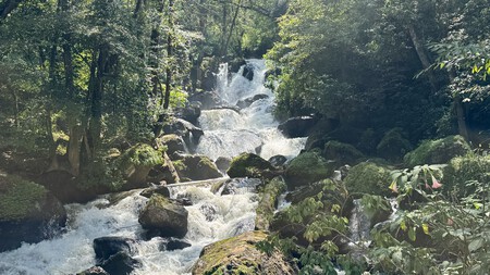 El Pueblo Mágico a 2 horas de CDMX con cascadas, un lago y deportes extremos: tiene unos esquites de camarón imperdibles