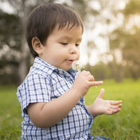 Esta primavera la alergia al polen viene fuerte: cómo reconocer y aliviar los síntomas en los niños