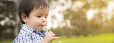 Esta primavera la alergia al polen viene fuerte: cómo reconocer y aliviar los síntomas en los niños