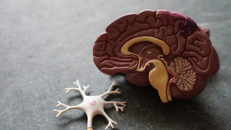 Estamos un paso más cerca de conocer cómo se origina la enfermedad de Alzheimer. Esto nos acerca a encontrar una cura