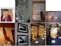 El Museo del pene islandés ya tiene un ejemplar humano