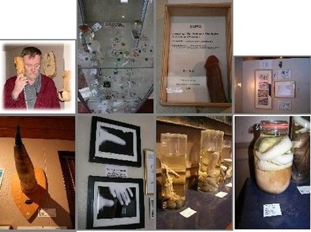 El Museo del pene islandés ya tiene un ejemplar humano