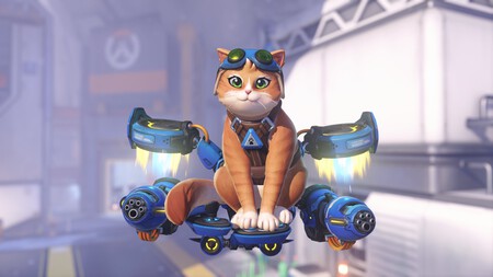 Jetpack Cat