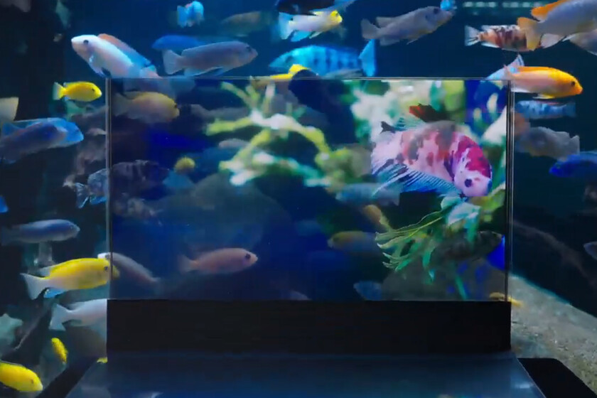 Pantalla Transparente Lenovo