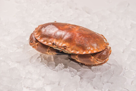 Buey De Mar Cocido Globalimar Pieza 1 Kg