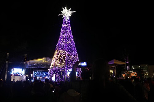 Navidad Bogota 5