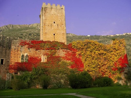Jardin De Ninfa 6