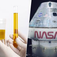 A Artemis II conta com um banheiro que evacua a urina dos astronautas para o espaço; o problema é que o xixi congelou 