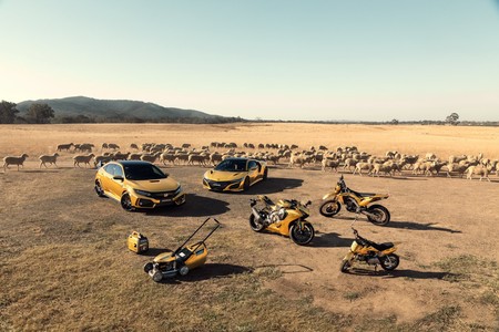 Honda celebra sus 50 años en Australia pintando de dorado un NSX, un Type R... y hasta un cortacésped