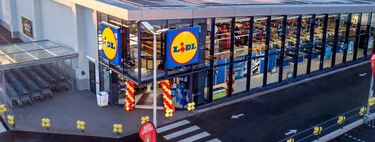 Hoy lunes, 20 de abril, llega a Lidl la heladera ideal para el verano que cuesta menos de 18 euros