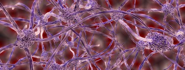 We could be closer to understand and cure Alzheimer's thanks to the unifying theory proposed by these scientists 