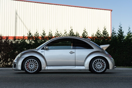 Beetle Rsi 3