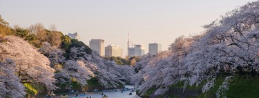 Tokyo is one of the few cities in the world that has managed to maintain housing prices. His secret: build 