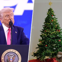 La guerra comercial entre Estados Unidos y China está teniendo una víctima inesperada: los árboles de Navidad