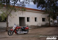 Harley-Davidson V-Rod Muscle, (valoración, ficha técnica y galería)