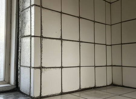 Azulejos