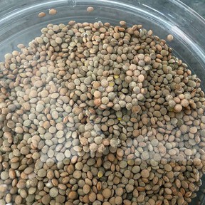 No es porque tengan más hierro: por qué algunas lentejas flotan cuando las pones a remojo 