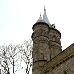 Foto 11 de 20 de la galería fujifilm-x-t2-12-fotos en Xataka Foto