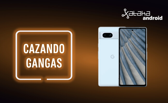 Cazando Gangas