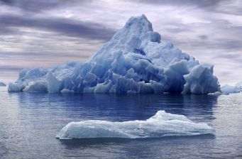El ecosistema de los icebergs