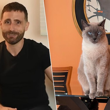 Carlos Gutiérrez, veterinario: "El 13% de los gatos sufren de ansiedad por separación pero el resto, cuando están solos, se relajan" 