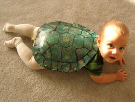 tortuga