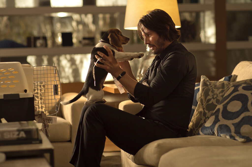 Cronología John Wick. El mejor orden para ver todas las películas y