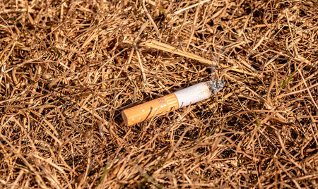 Colilla de cigarro encendida riesgo de incendio