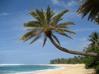 La isla del Presidente Obama