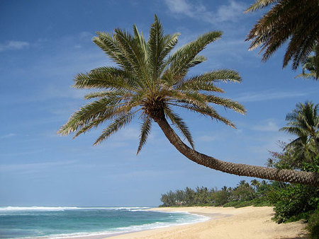 La isla del Presidente Obama