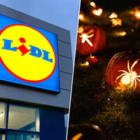 Ya en Lidl la solución en forma de telaraña para iluminar el interior o el exterior este Halloween por menos de 8 euros