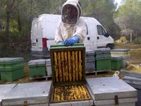 Negocios en la red: miel 2.0 