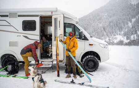 Perro Invierno Camper