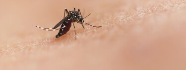 Não é o tipo sanguíneo: ciência descobre como mosquitos decidem atacar suas vítimas