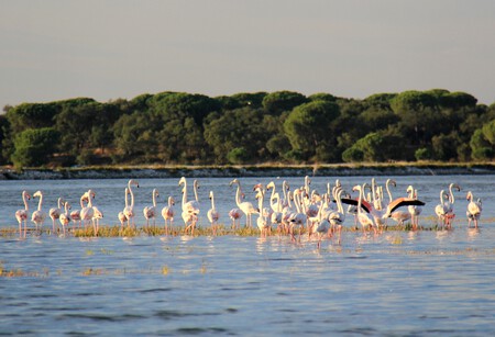 Estuario Do Sado