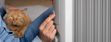 "En casas antiguas, la piedra natural es lo más equilibrado": hay electricistas contra el mito de los radiadores eléctricos en invierno 